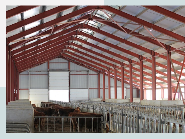 Строительство коровников в Белогорске