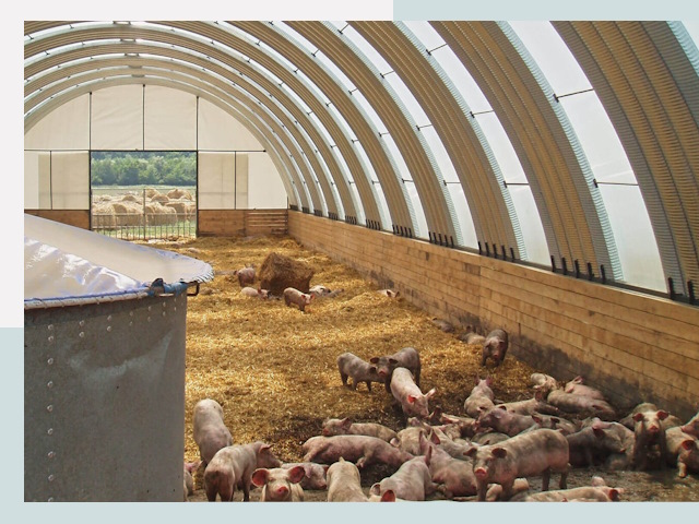 Строительство свинарников в Белогорске