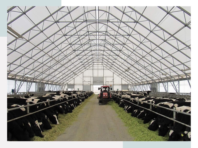 Тентовые коровники в Белогорске от 612 руб. - Надежно и доступно