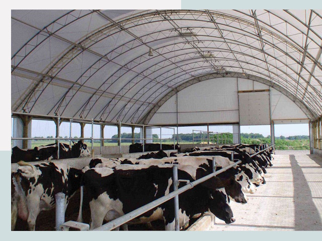 Тентовые коровники в Белогорске